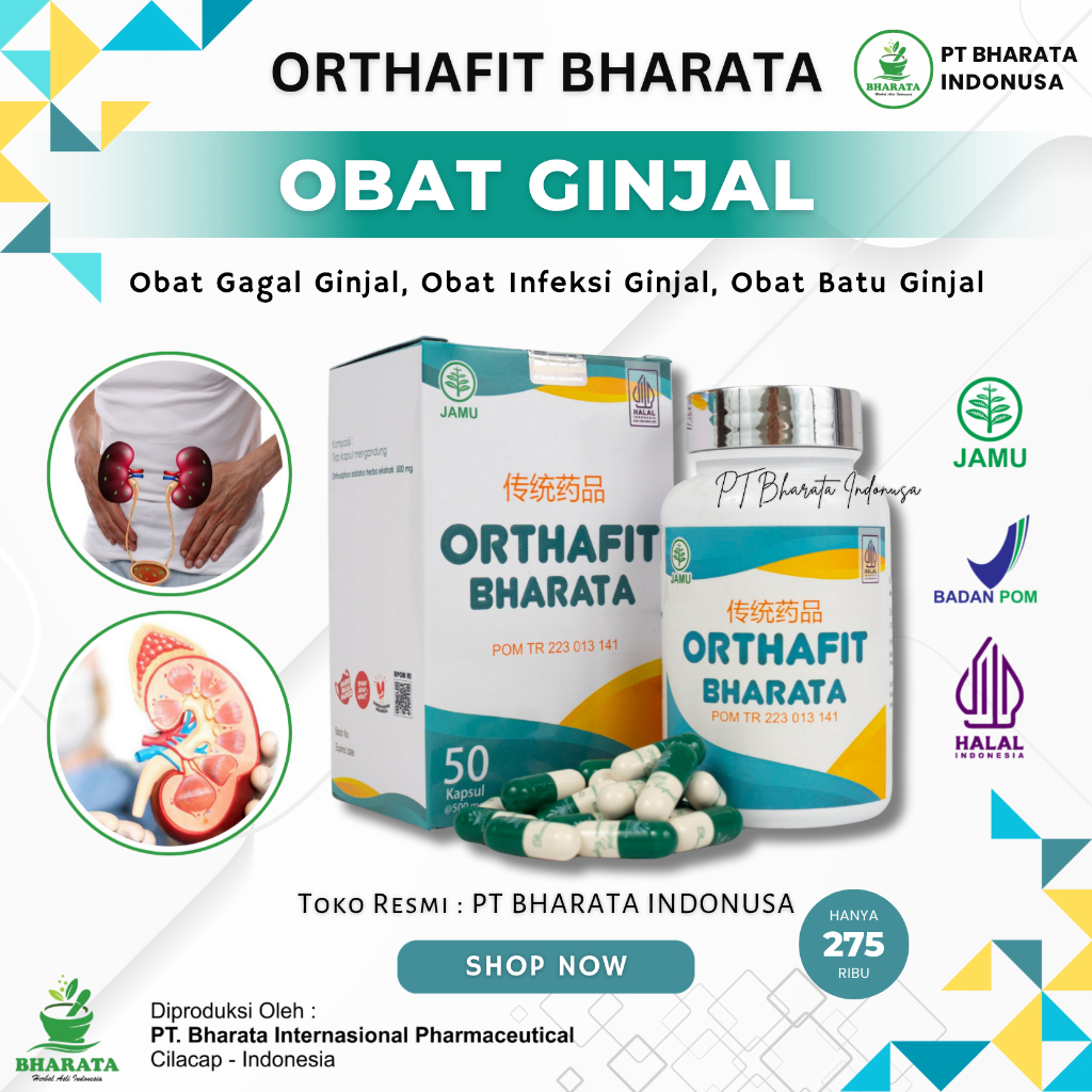 Obat Ginjal Ampuh ORTHAFIT BHARATA Original Herbal Gagal Ginjal ISK Batu Ginjal Prostat 50 Kapsul
