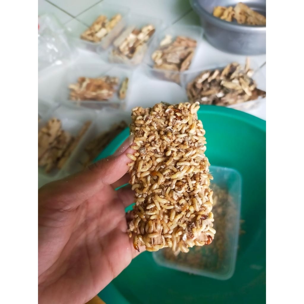 UMPAN MANCING POA/PUA/RENGAS/RAYAP/RINYUH/BAJRA/SAMPERO UMPAN VIRAL TERGACOR