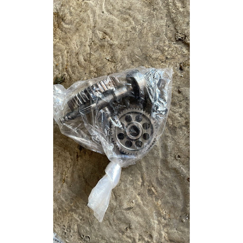 gigi gardan/rasio beat fi 2013-2014