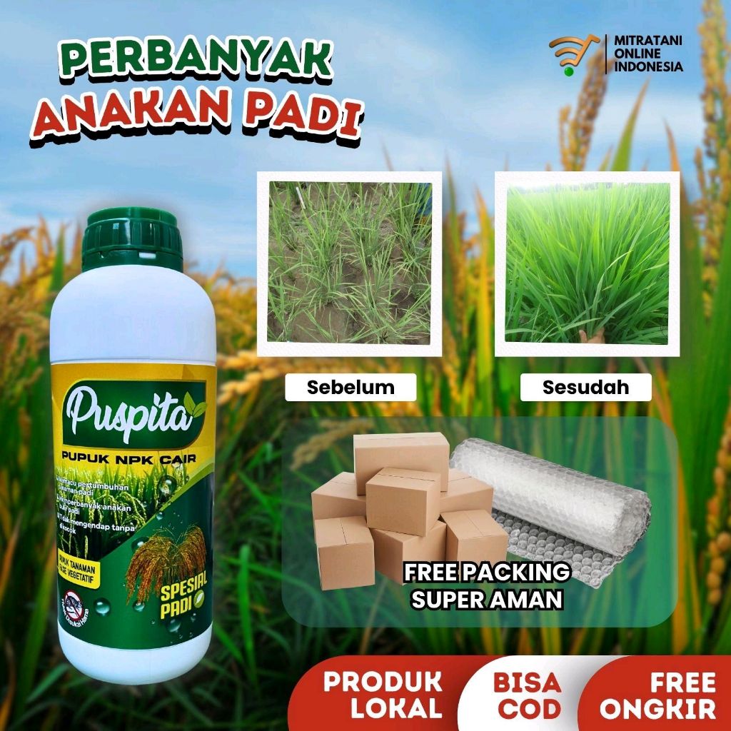Puspita Padi 5 Liter Perbanyak Anakan Padi ZPT GA3