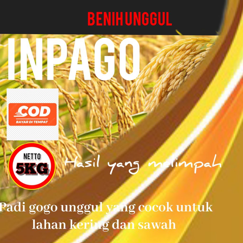 benih padi inpago 5kg Kualitas unggul