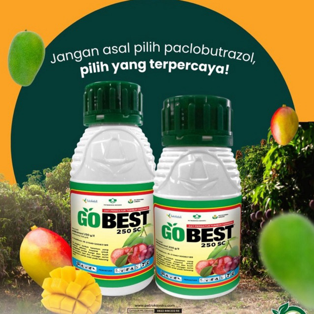 pERANGSANG BUAH Gobest 250SC Zat Pengatur Tumbuh Peningkat Buah