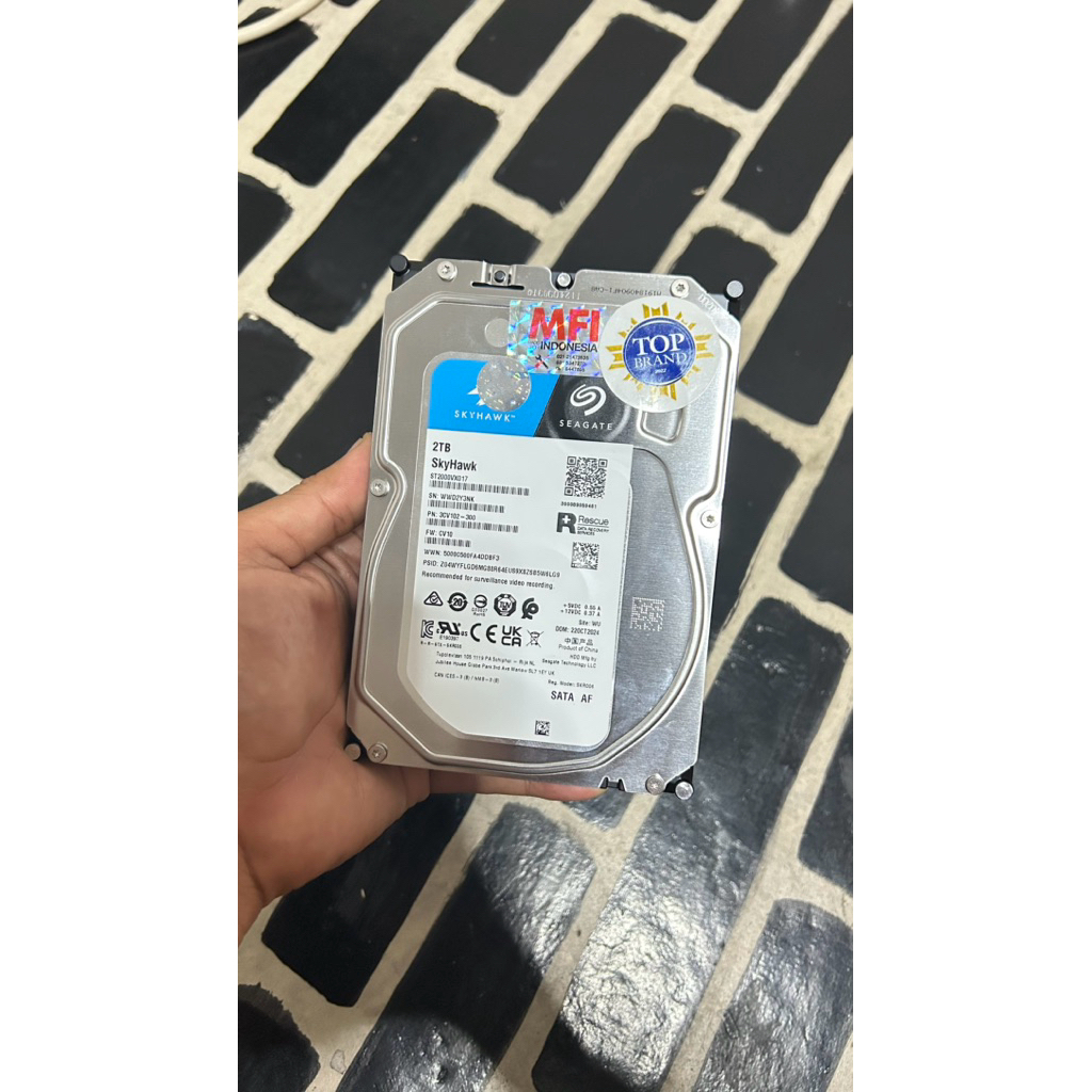 Hardisk Seagate Skyhawk 2TB