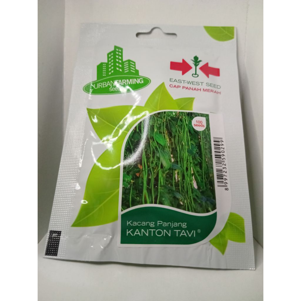 BIBIT BENIH PANAH MERAH - KACANG PANJANG KANTON TAVI