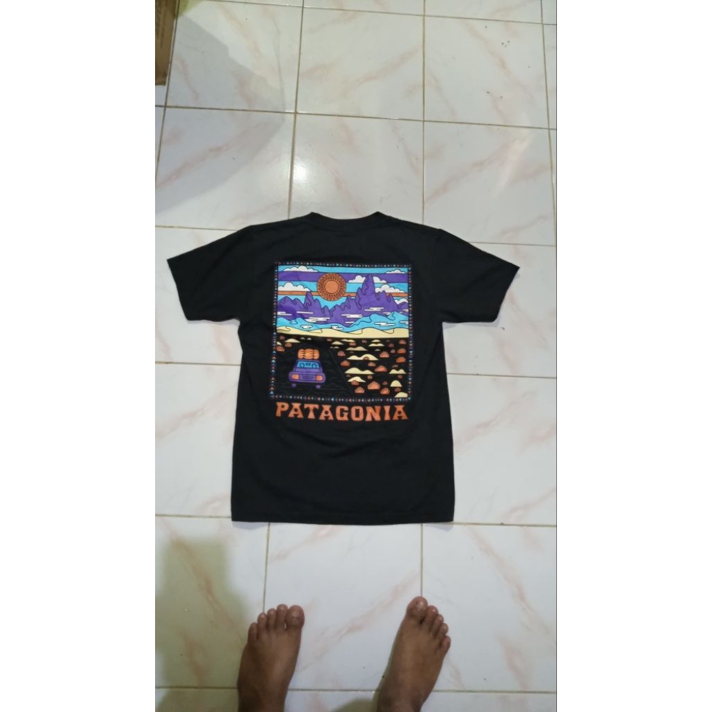 patagonia t-shirt