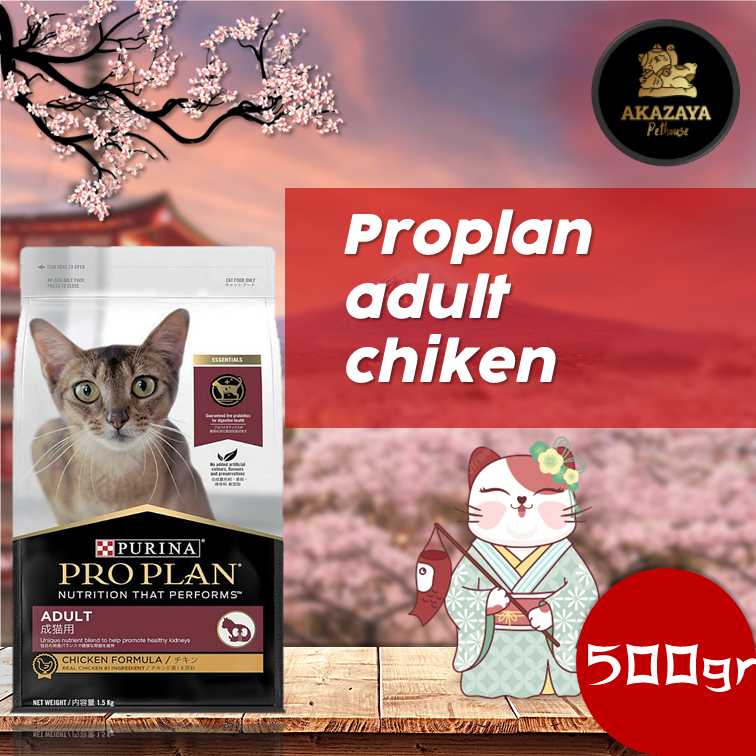 PROPLAN ADULT CHICKEN | PROPLAN ADULT CHICKEN KEMASAN 500GR REPACK | MAKANAN KUCING PROPLAN ADULT CH