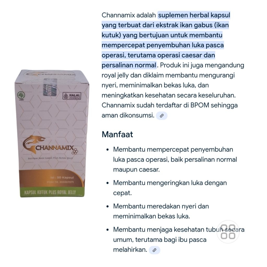 Channamix / Kapsul Ikan Gabus 1 Botol isi 50 Kapsul