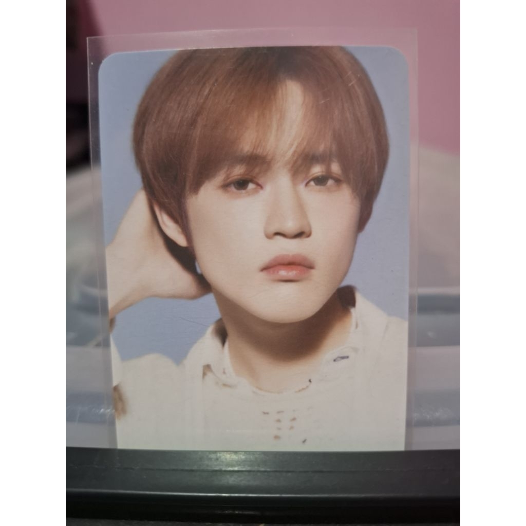 PHOTOCARD OFFICIAL CHENLE NCT DREAM WHITE SHIRT / POB OFFICIAL CHENLE