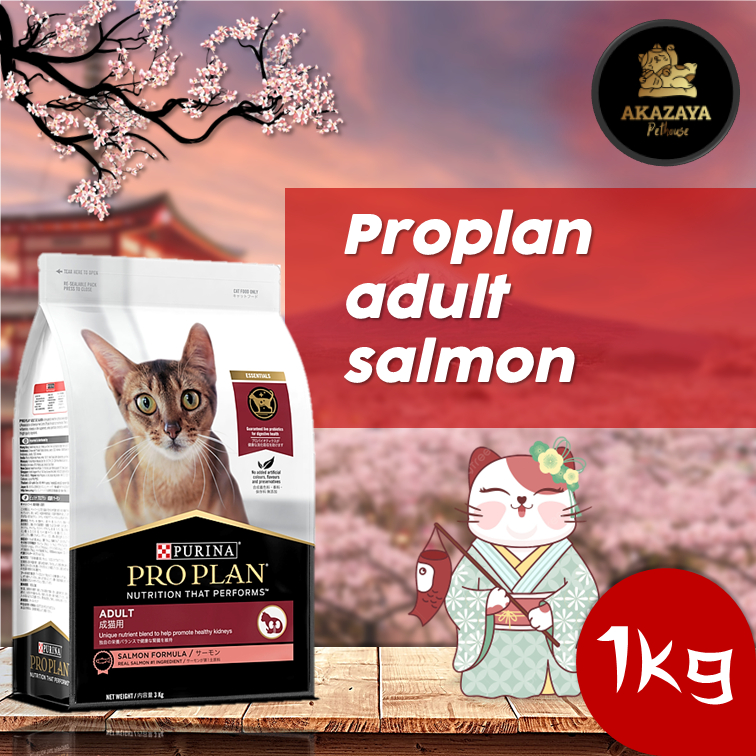 PROPLAN ADULT SALMON | PROPLAN ADULT SALMON KEMASAN 1KG REPACK | MAKANAN KUCING PROPLAN ADULT SALMON