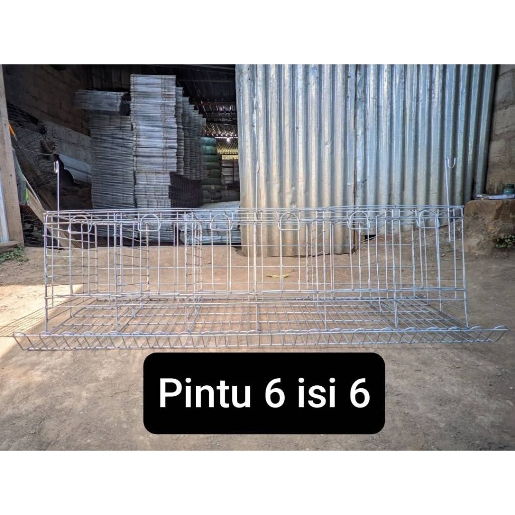 Galvanis kandang Ayam petelur pintu 6 Isi 6