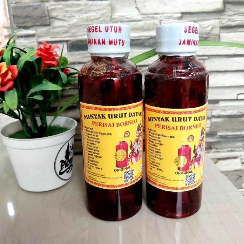 Minyak Urut Dayak Borneo 250ml Herbal Asli Perisai Borneo