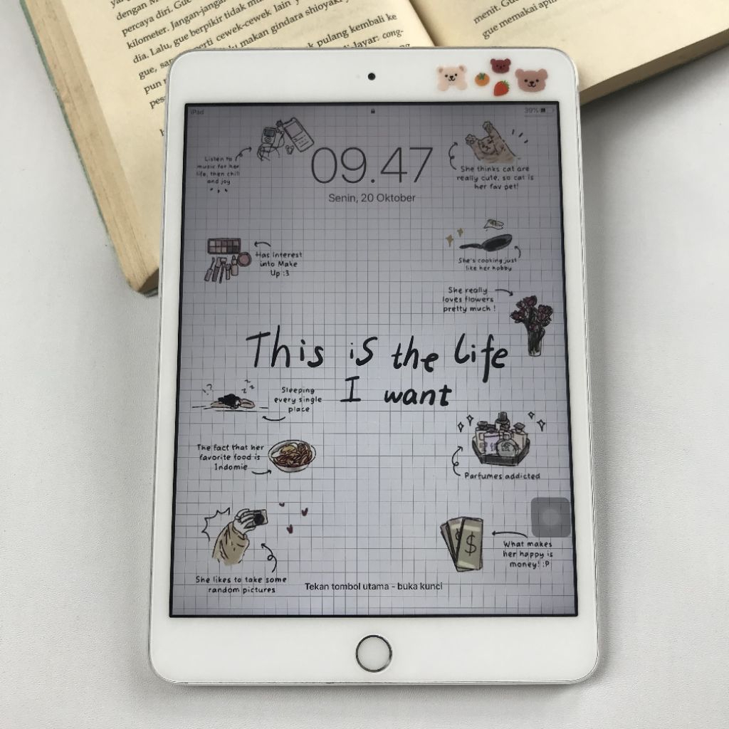 ipad mini 3 NO MINUS