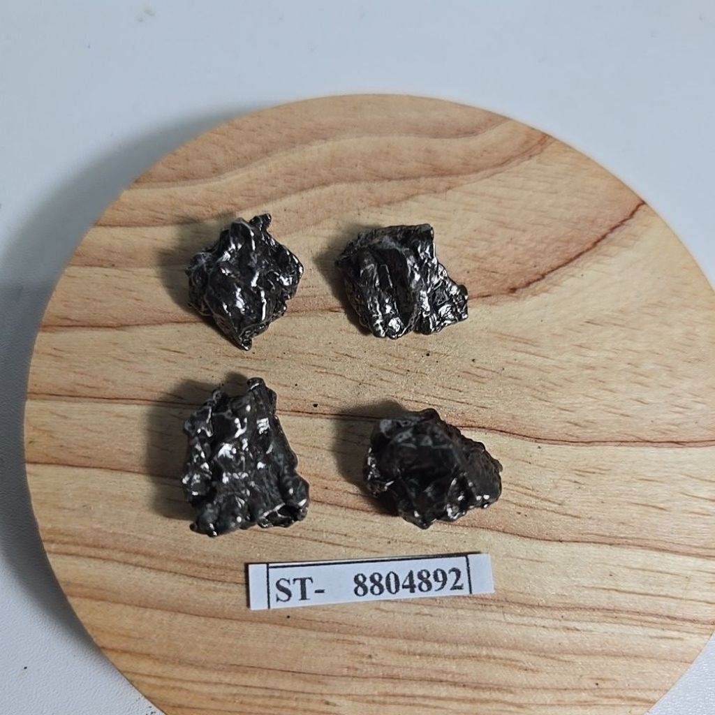 Campo del Cielo Iron Meteorite asli Gran Chaco Gualamba, Argentina