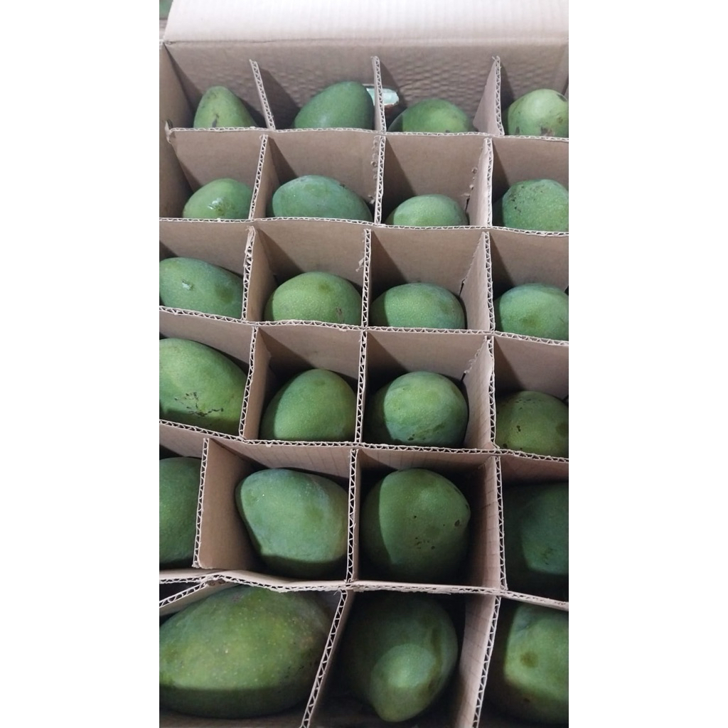 Mangga Harum Manis Alpukat Matang Pohon 1 kg