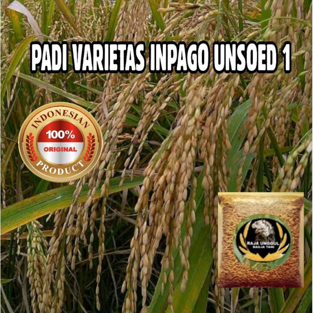 BIBIT BENIH PADI INPAGO KEMASAN 5KG