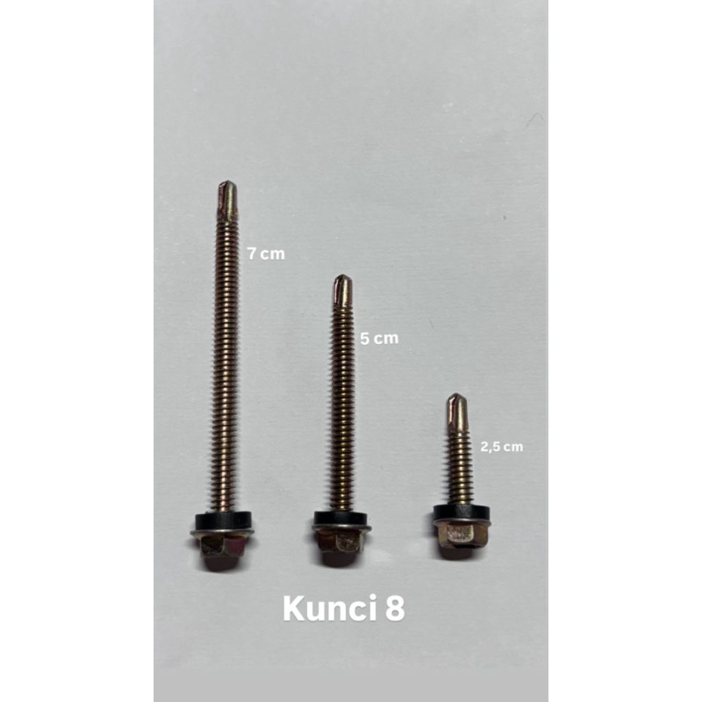 Self Drilling screw / Skrup Drilling 12x25; 12x50; 12x70