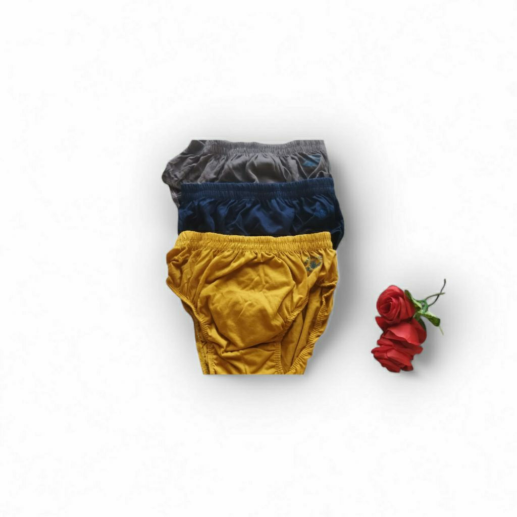 [TERMURAH] Celana Dalam Pria PAPILLON