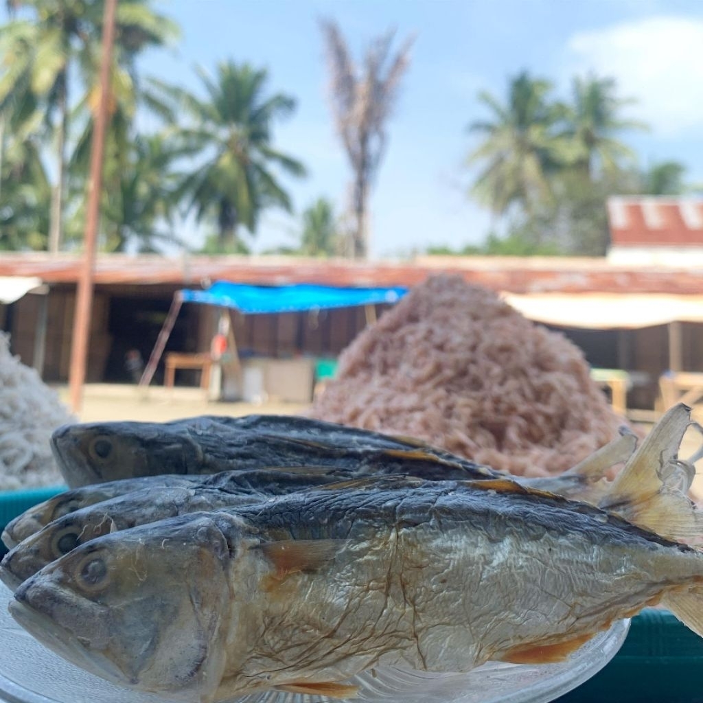 IKAN ASIN  GEMBUNG
