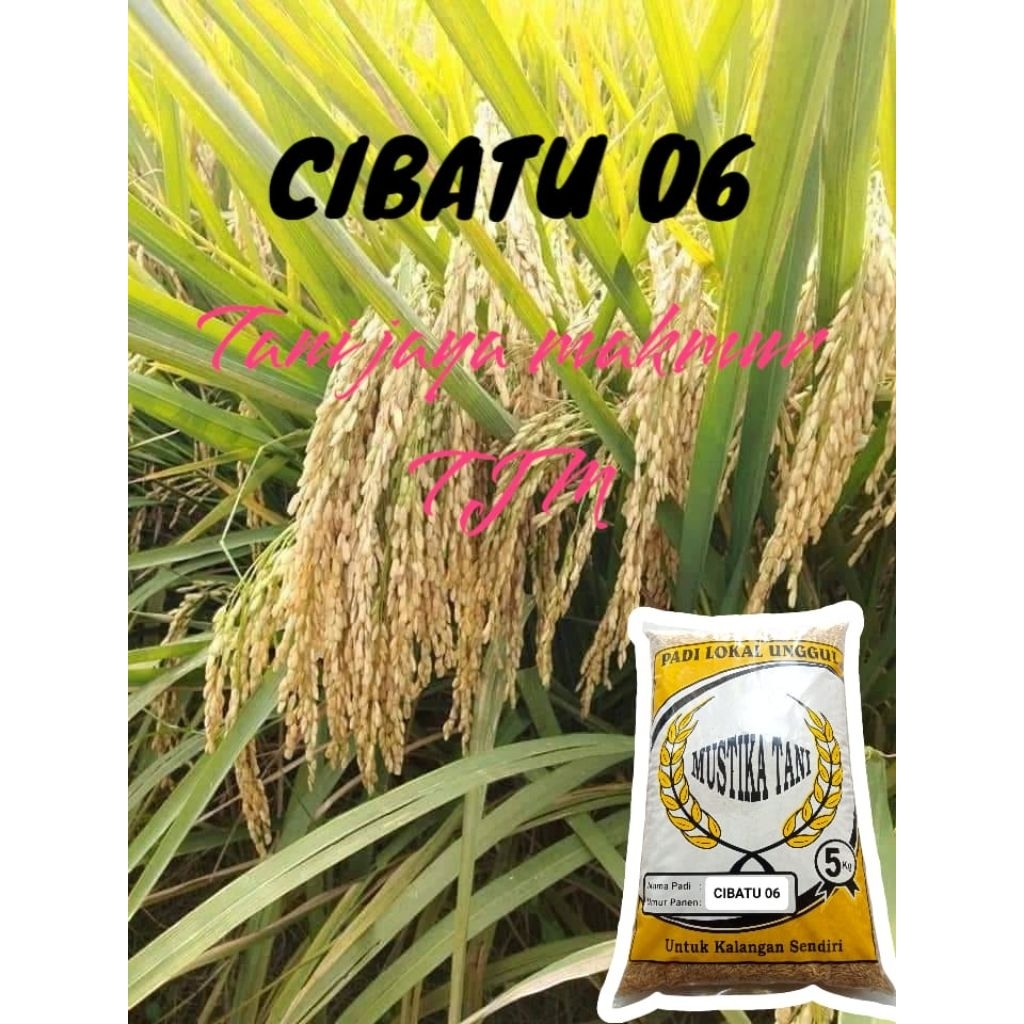 CIBATU 06