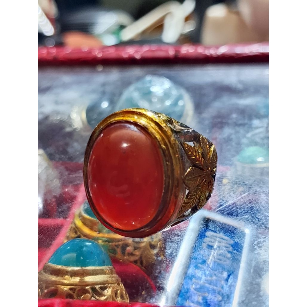 garut merah selasih
