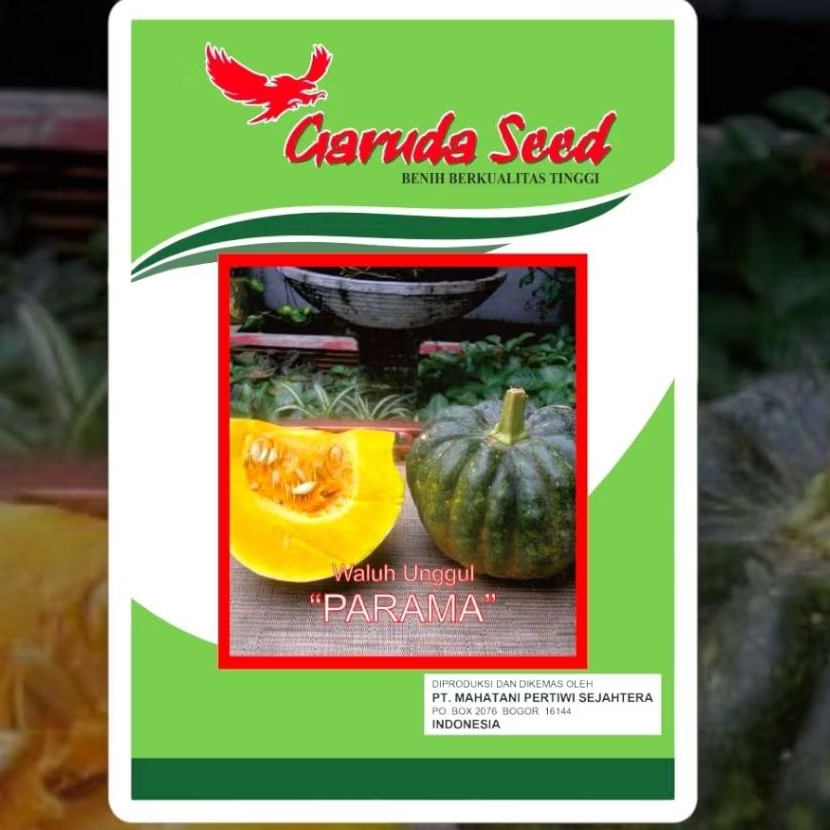 Benih Labu Parama 10 Gram Bibit Labu Benih Waluh