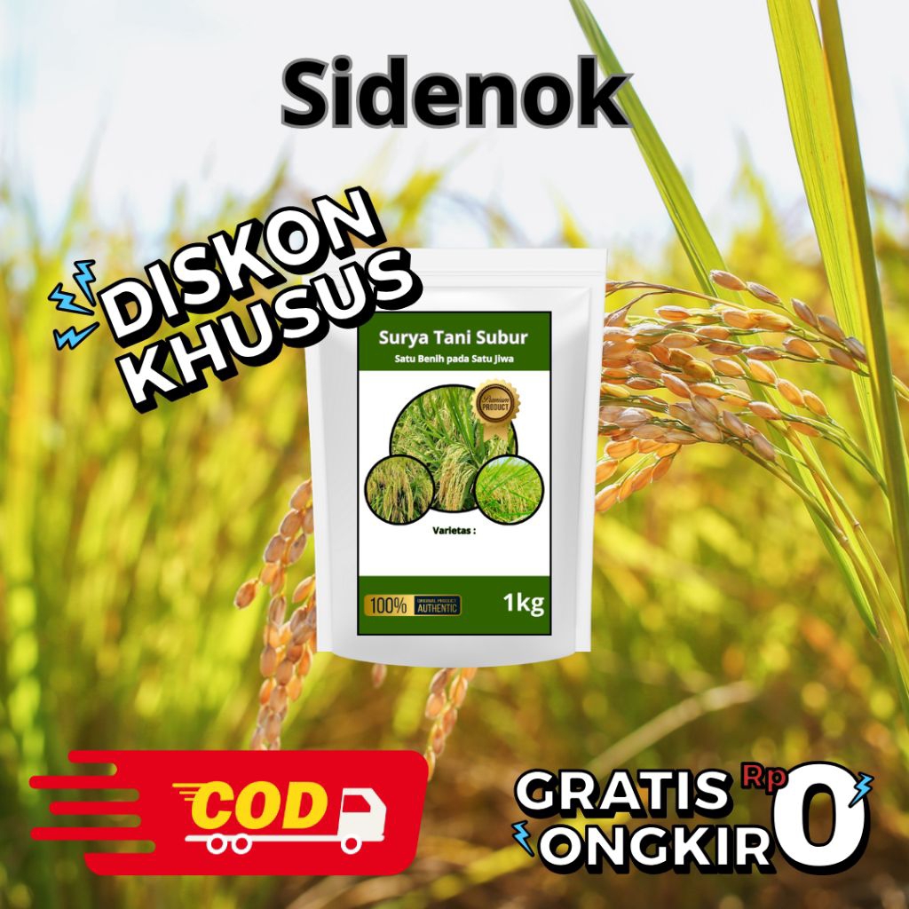 Benih Padi Unggul Sidenok 10kg original