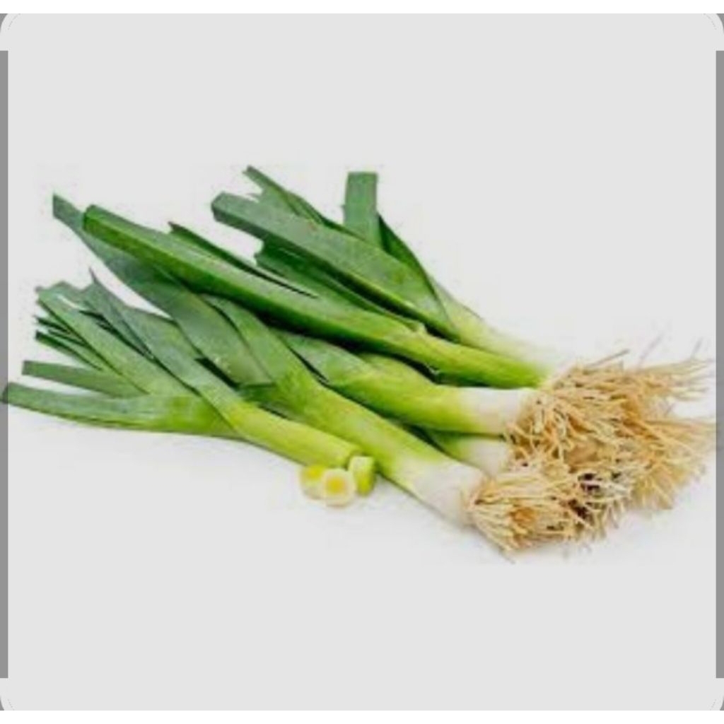 Daun bawang prei / Daun bawang besar