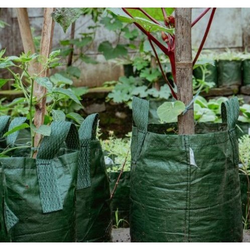 Planter Bag 35 Liter Easygrow-Pot Planter 35 Liter Murah-Planter Bag Easygrow 35 Liter Murah