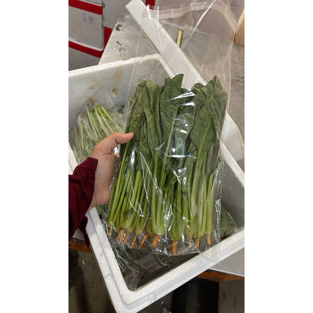 Sayur Spinach 1 Dus (4 KG) Fresh Import