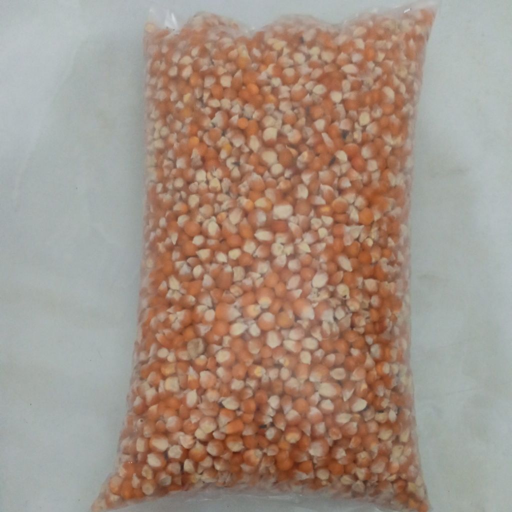 jagung kecil 1 kg / jagung kecil pakan ayam 1 kg