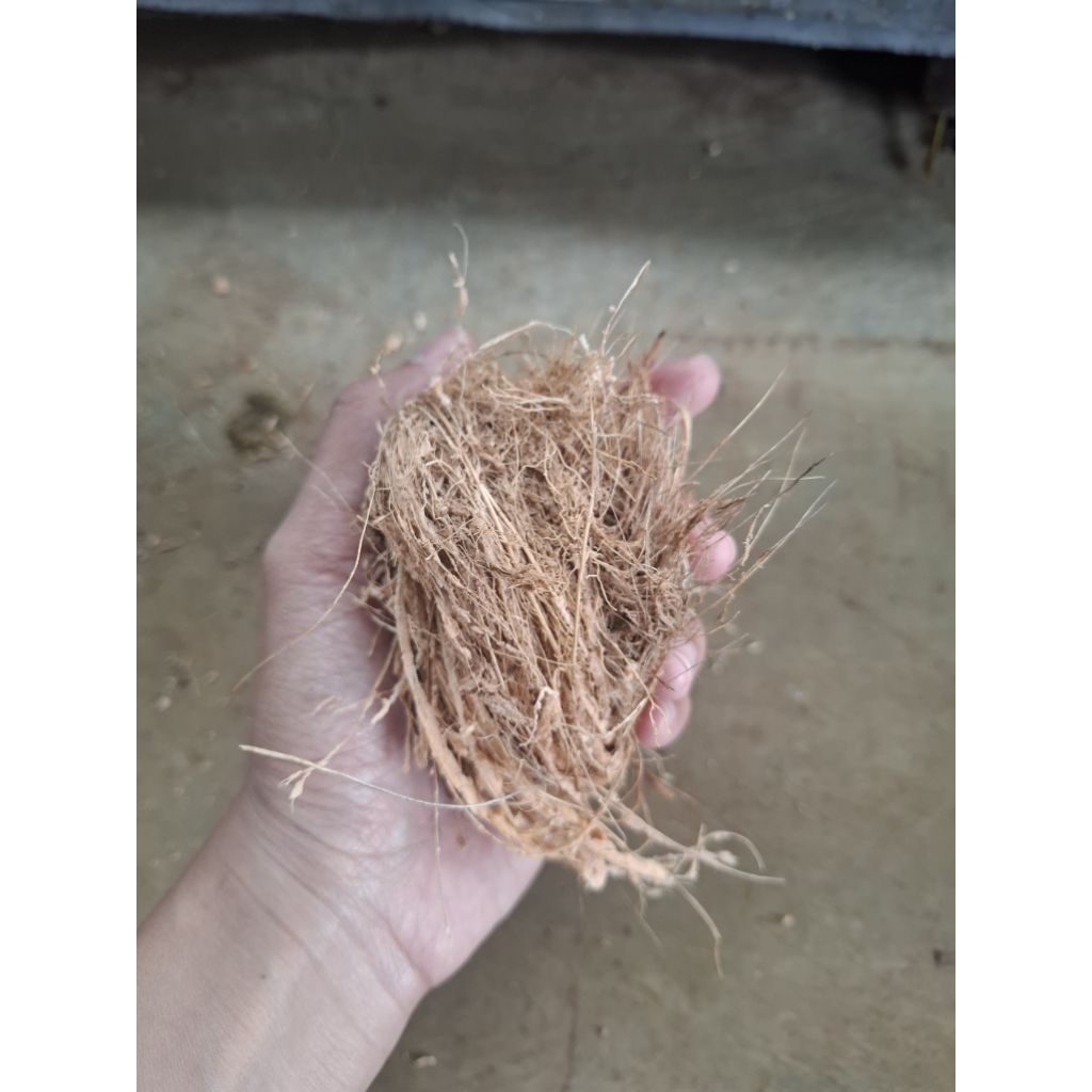 sabut kelapa cuci piring / cuci piring sabut kelapa / cuci piring alami / serabut kelapa