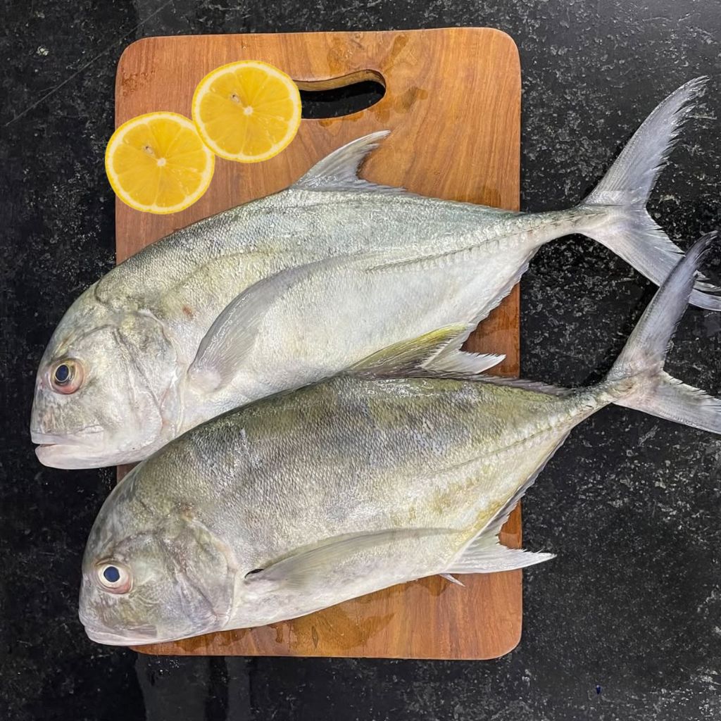 Ikan Kuwe Segar Seafood Hasil Laut Segar 1 Kg Ikan Kuwe Frozen Fresh / Ikan Kuwe Beku Fresh