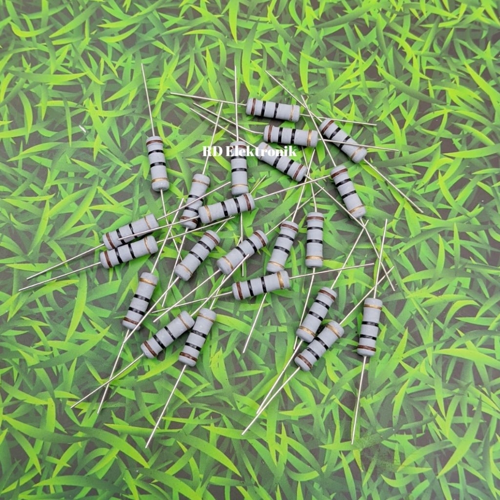 Resistor 10 Ohm 2 Watt Resistor 10 ohm 2W