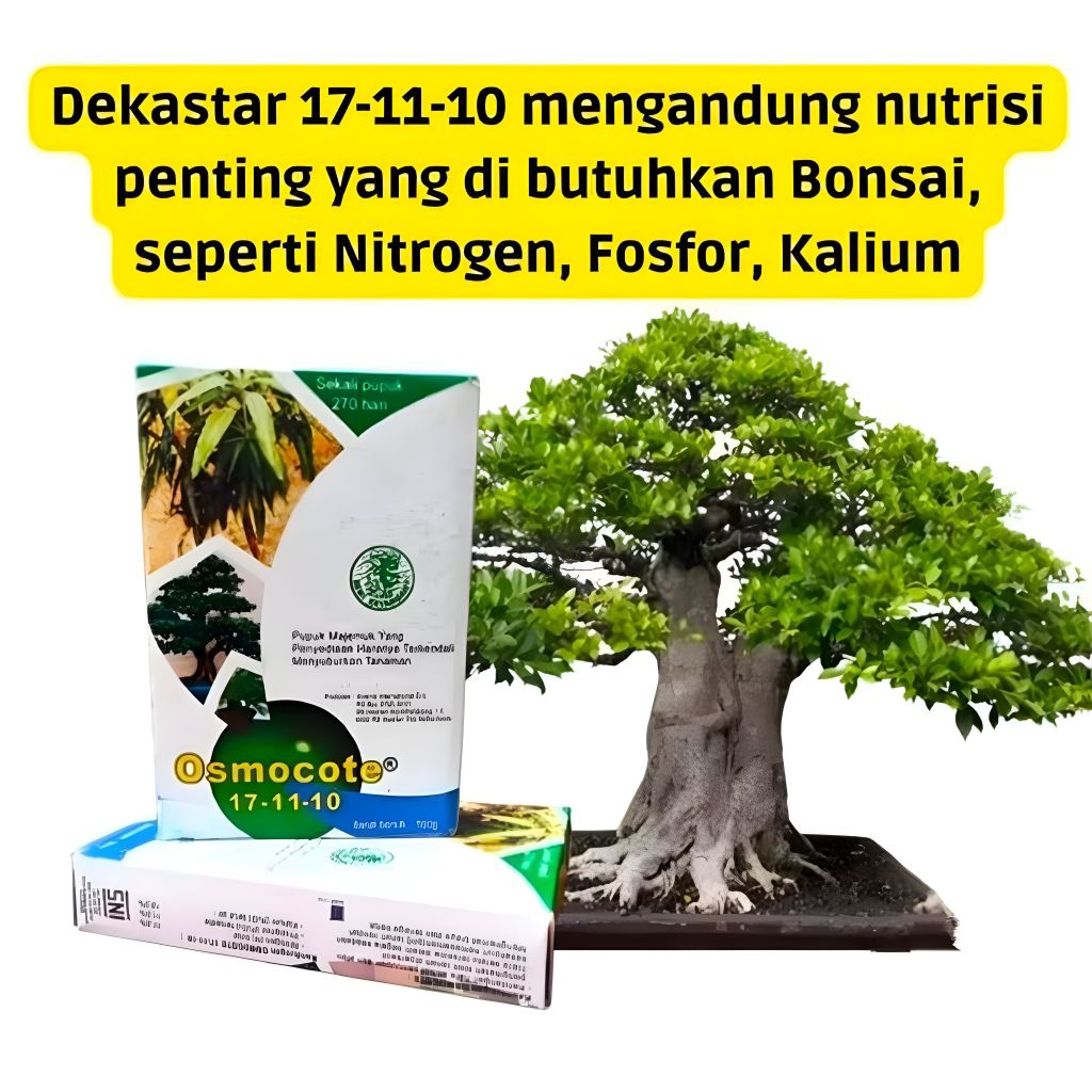 Pupuk Osmocote Decastar Slow Release Pupuk Bonsai Tanaman Hias Aglonema Anggrek dll