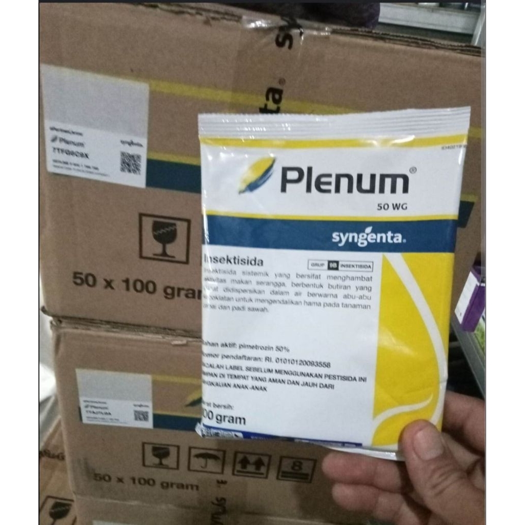 Plenum 100 gr