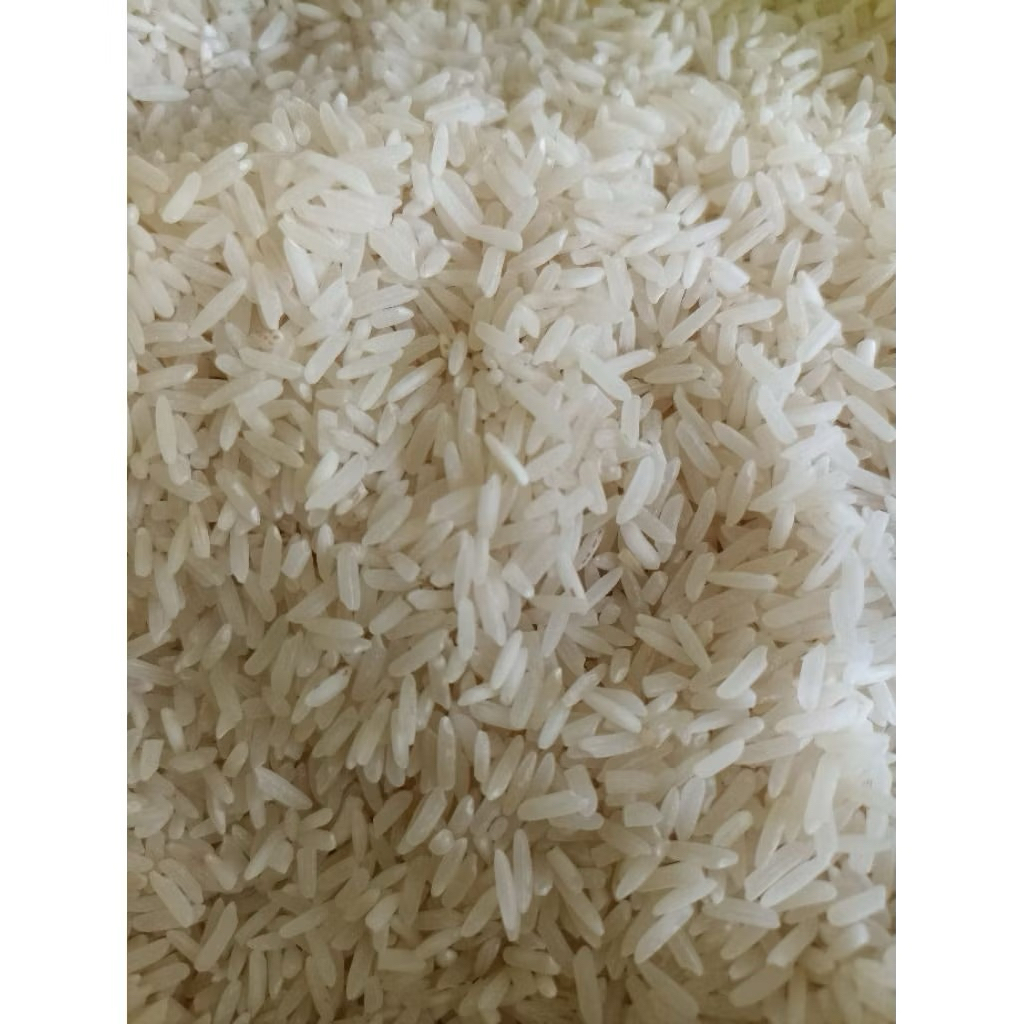 beras murah medium bulog pulen bersih kemasan 5kg