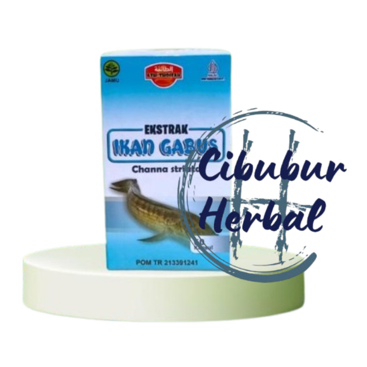 Kapsul ekstrak ikan gabus Channa striata ath-thoifah 60 Kapsul