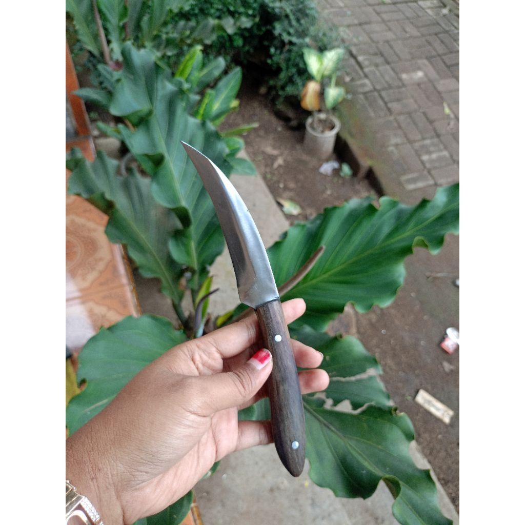 pisau jalu/ pisau stek/pisau serut