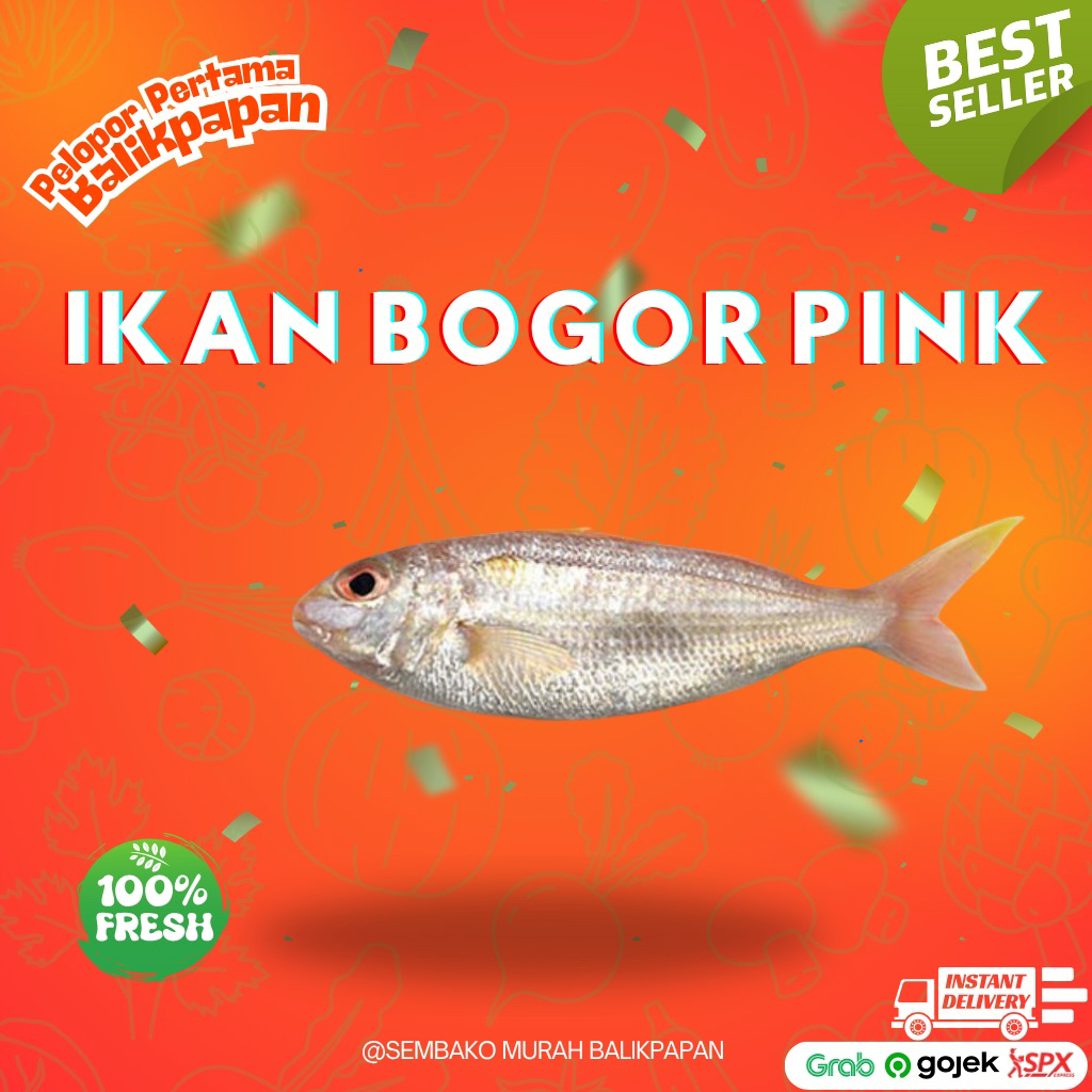 Ikan Bogor Pink