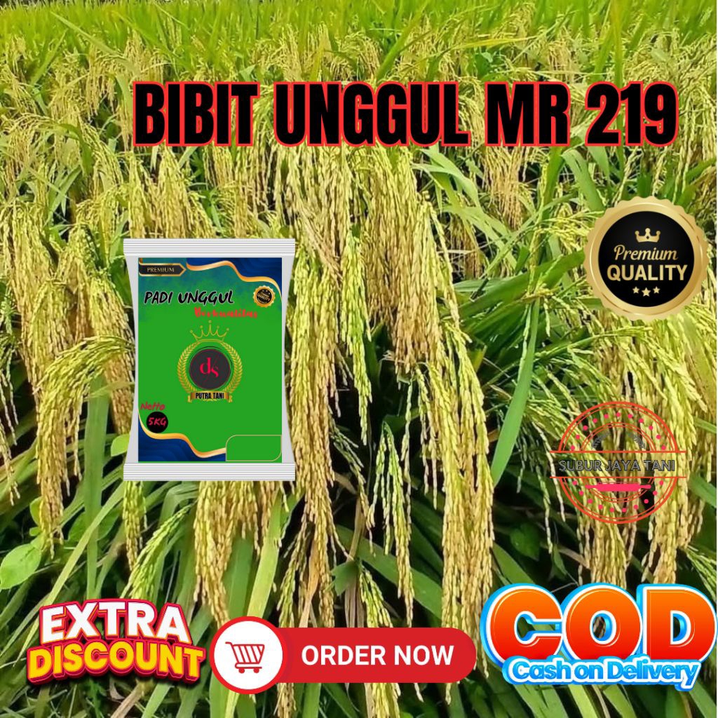 BIBIT PADI VIRIETAS MALAYSIA MR 219 KEMASAN 1KG
