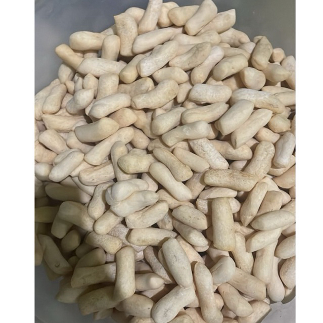 Amplang bandeng laut