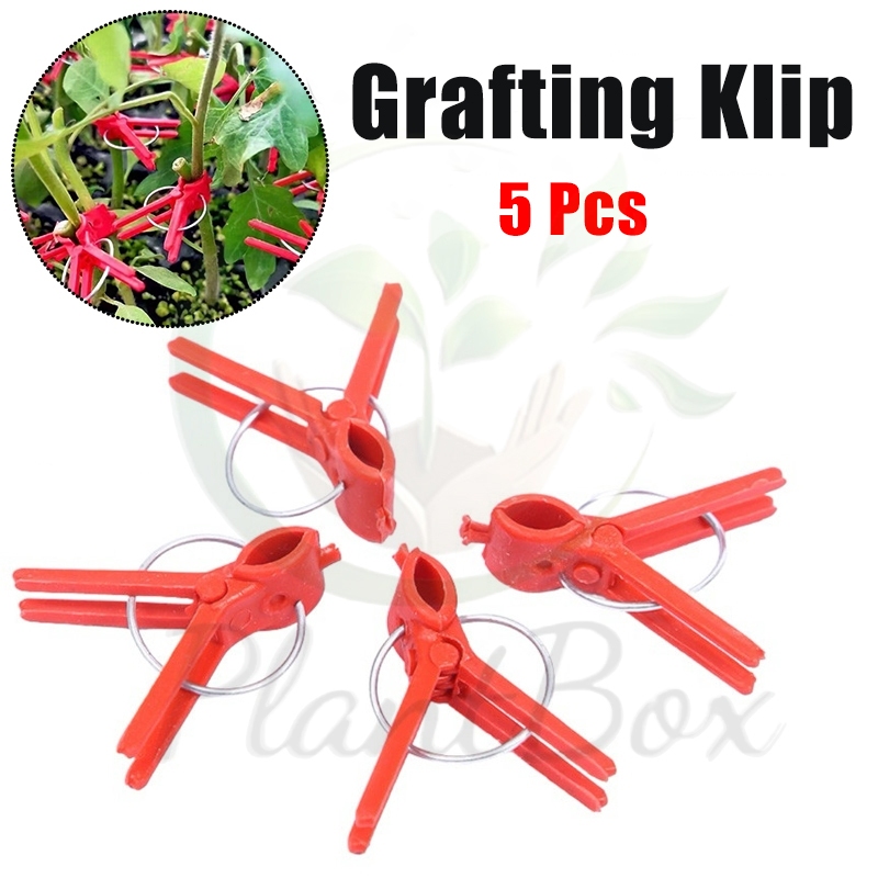 5Pcs Grafting Klip Cangkok / Penjepit Sambungan Tanaman / Sambung Pucuk Grafting Klip Cangkok