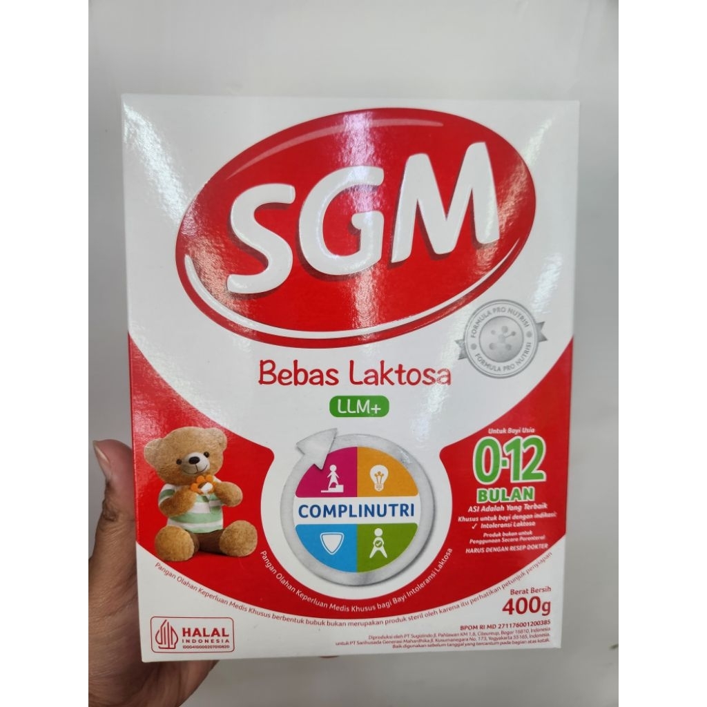 SGM LLM