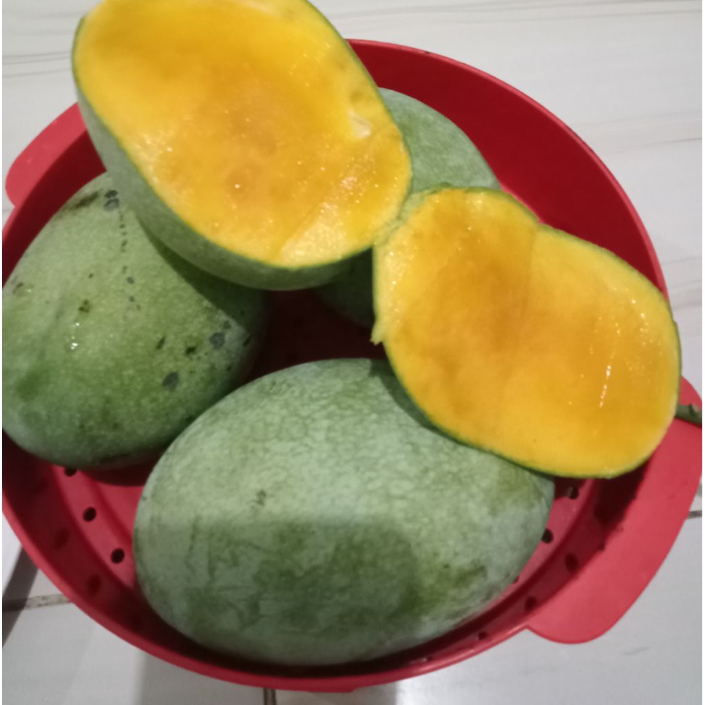 mangga lalijiwo