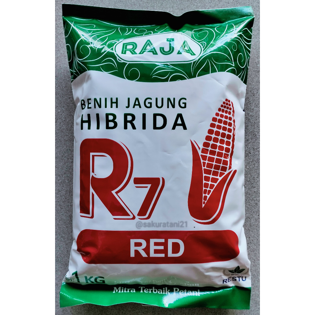 Benih Jagung Hibrida Raja R7 RED 1 Kg