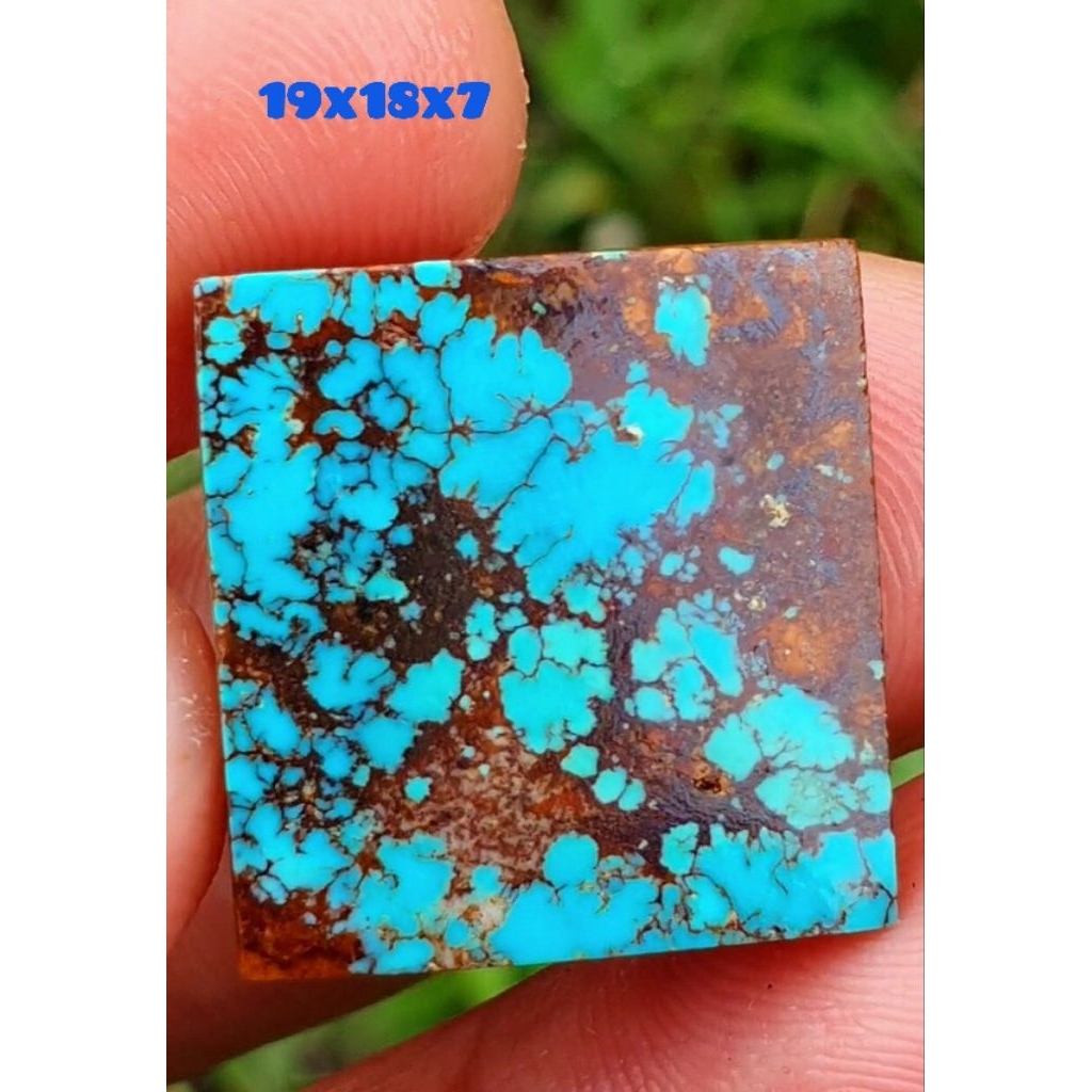 pirus persia kotak natural lawasan