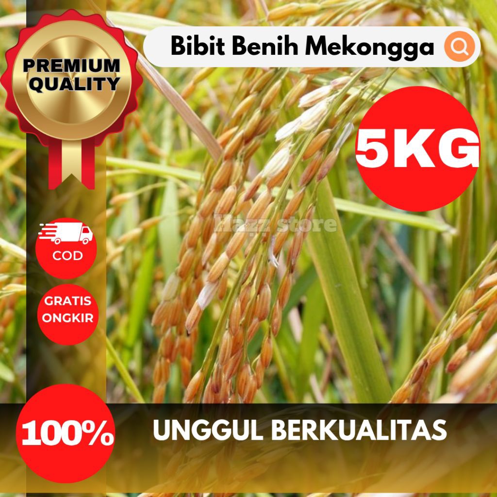 BENIH BIBIT PADI MEKONGGA UKURAN 5KG VARIETAS UNGGUL HASIL BERKUALITAS TINGGI, TAHAN HAMA & CEPAT PA