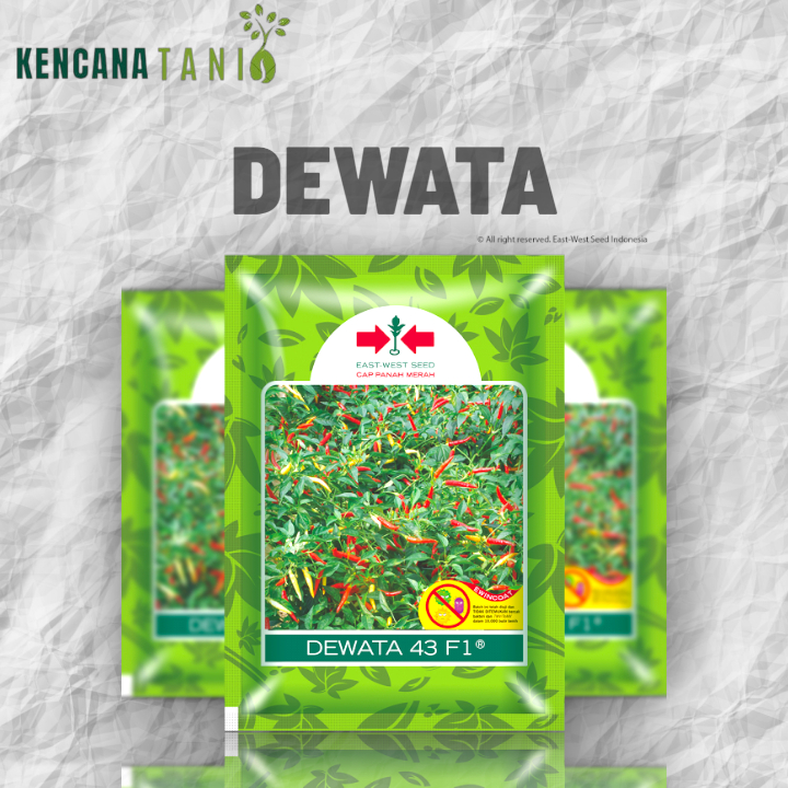 Benih Cabe Dewata F1
