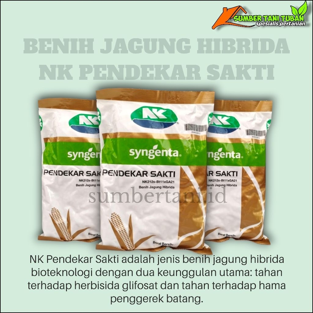 Benih jagung hibrida PENDEKAR SAKTI SYNGENTA (kemasan 1 kg)