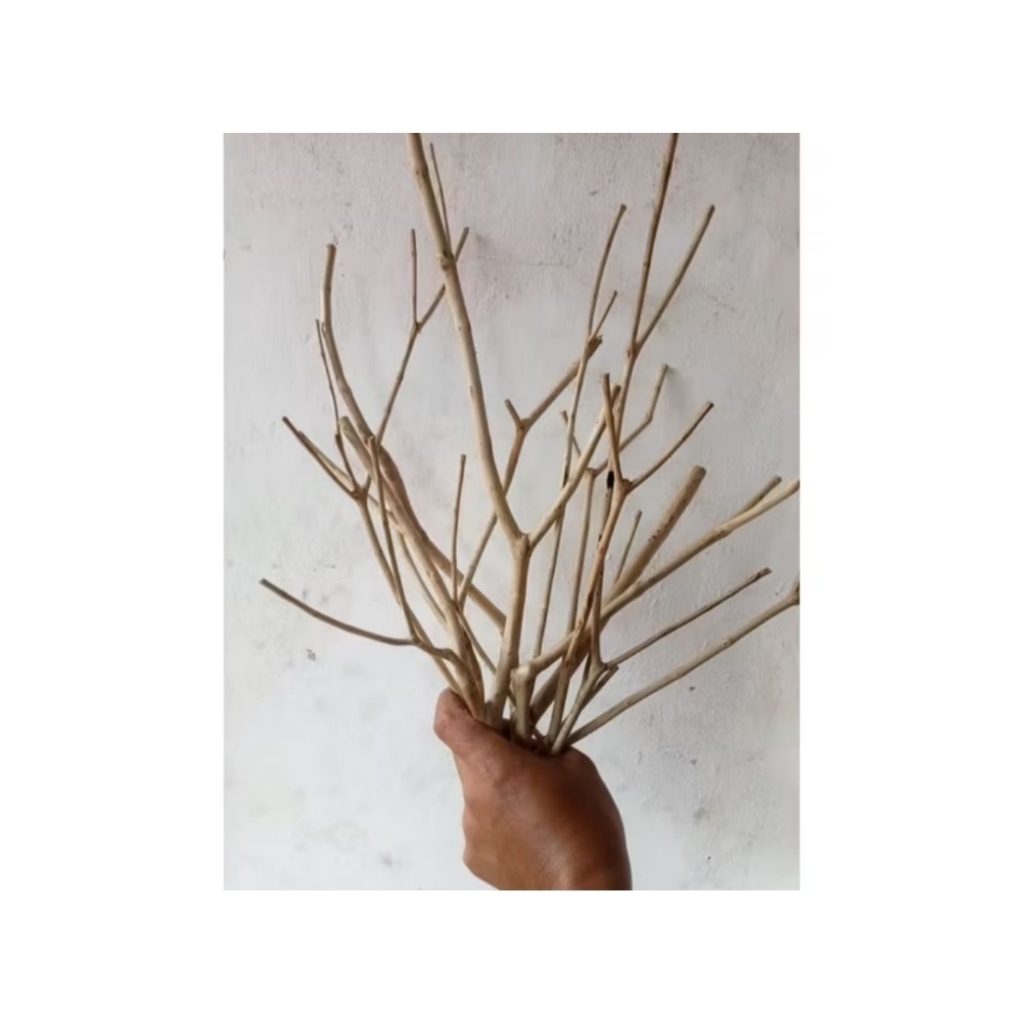 Ranting Kayu dekorasi/Ranting Kayu Bercabang/Ranting pohon Rimbun/Halus/40cm(isi 10 pcs)